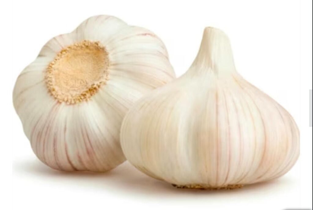 ಖಾಲಿ ಹೊಟ್ಟೆಯಲ್ಲಿ ಬೆಳ್ಳುಳ್ಳಿ ತಿನ್ನುವುದರಿಂದ ಏನೆಲ್ಲ ಲಾಭಗಳಿವೆ ಗೊತ್ತೆ..?