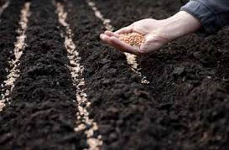 ಯುವ ರೈತ ಬಾಂಧವರಿಗೆ ಮೂರು ದಿನಗಳ ವಿಶೇಷ ತರಬೇತಿ ಕಾರ್ಯಾಗಾರ