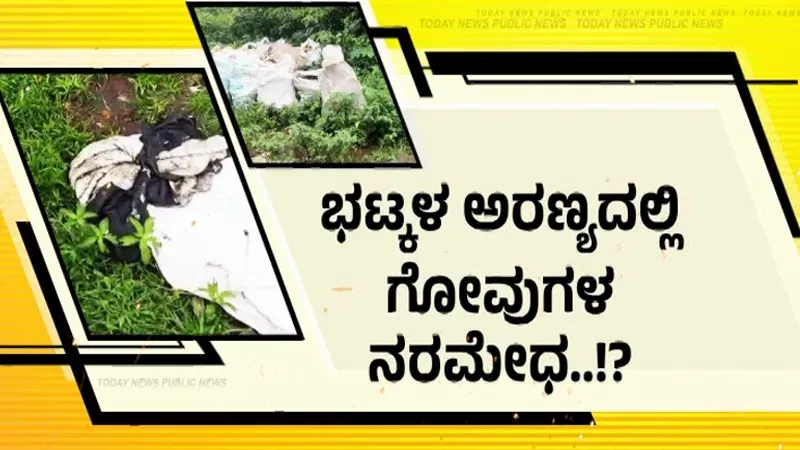 ಭಟ್ಕಳ ಅರಣ್ಯದಲ್ಲಿ ಗೋವುಗಳ ರಾಶಿ ರಾಶಿ ಮೂಳೆಗಳು ಪತ್ತೆ ಕೇಸ್ – ಇಬ್ಬರ ಬಂಧನ