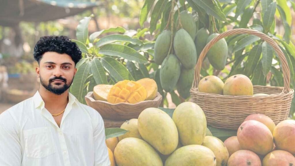 ವಿವಿಧ ಜಾತಿಯ ಮಾವಿನ ಹಣ್ಣುಗಳು ಮತ್ತು ಅವುಗಳ ಆರೋಗ್ಯ ಪ್ರಯೋಜನಗಳ ಮಾಹಿತಿ ನೀಡುವ ಲೇಖನ