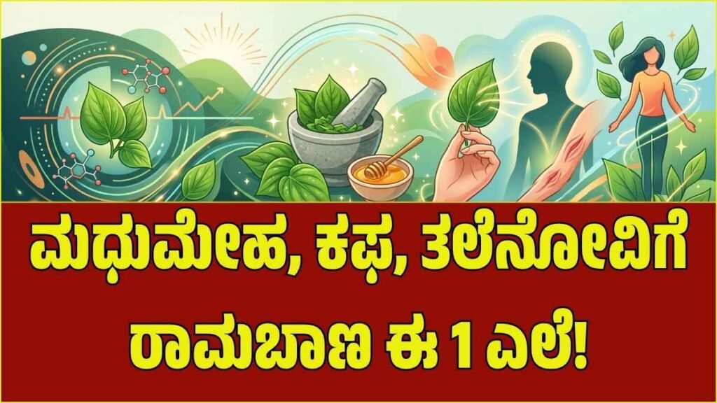 betel-leaf-health-benefits-kannada